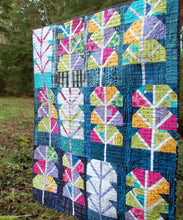 iForest Class with Featured Quilter, Scott Hansen - April 26, 2025, 12:30-4:30 pm